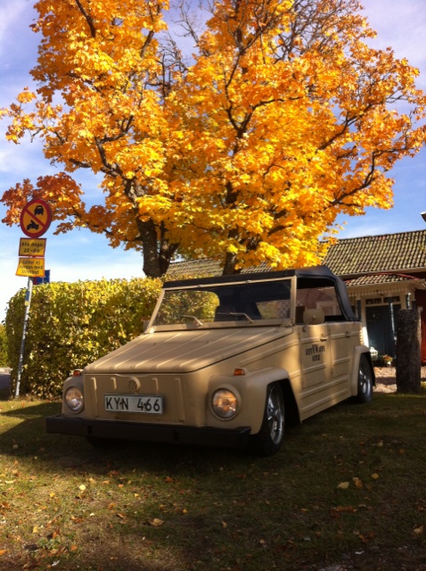 IMG_6378.jpg, 169.7 kb, 478 x 640