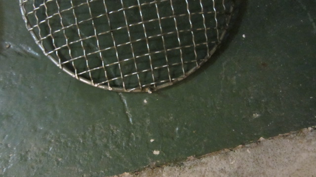 IMG_2409[1].JPG, 82.58 kb, 640 x 360