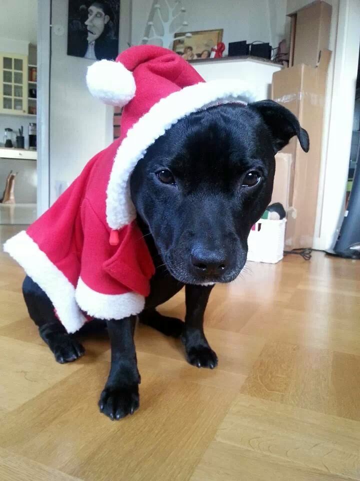 IMG_196782089267416.jpeg, 84.39 kb, 720 x 960