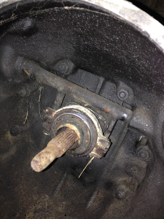 IMG_1725omg.jpg, 324.55 kb, 567 x 756