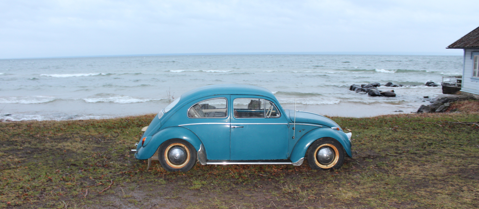 IMG_1677.jpg, 817.73 kb, 1600 x 700