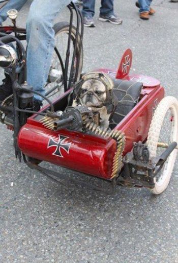 Bad a.jpg, 43.39 kb, 350 x 515