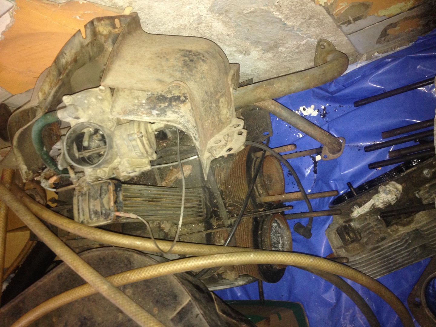 IMG_0853.JPG, 398.77 kb, 1440 x 1080