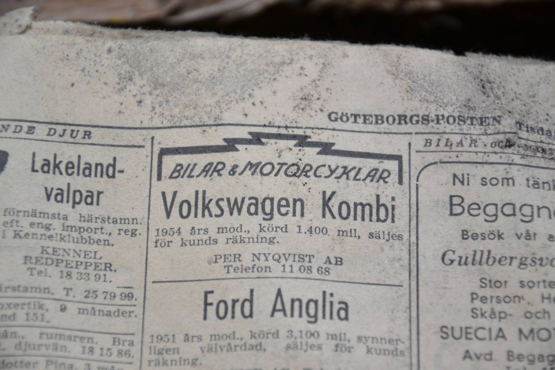 resized_DSC_1069.jpg, 200.54 kb, 1843 x 1228