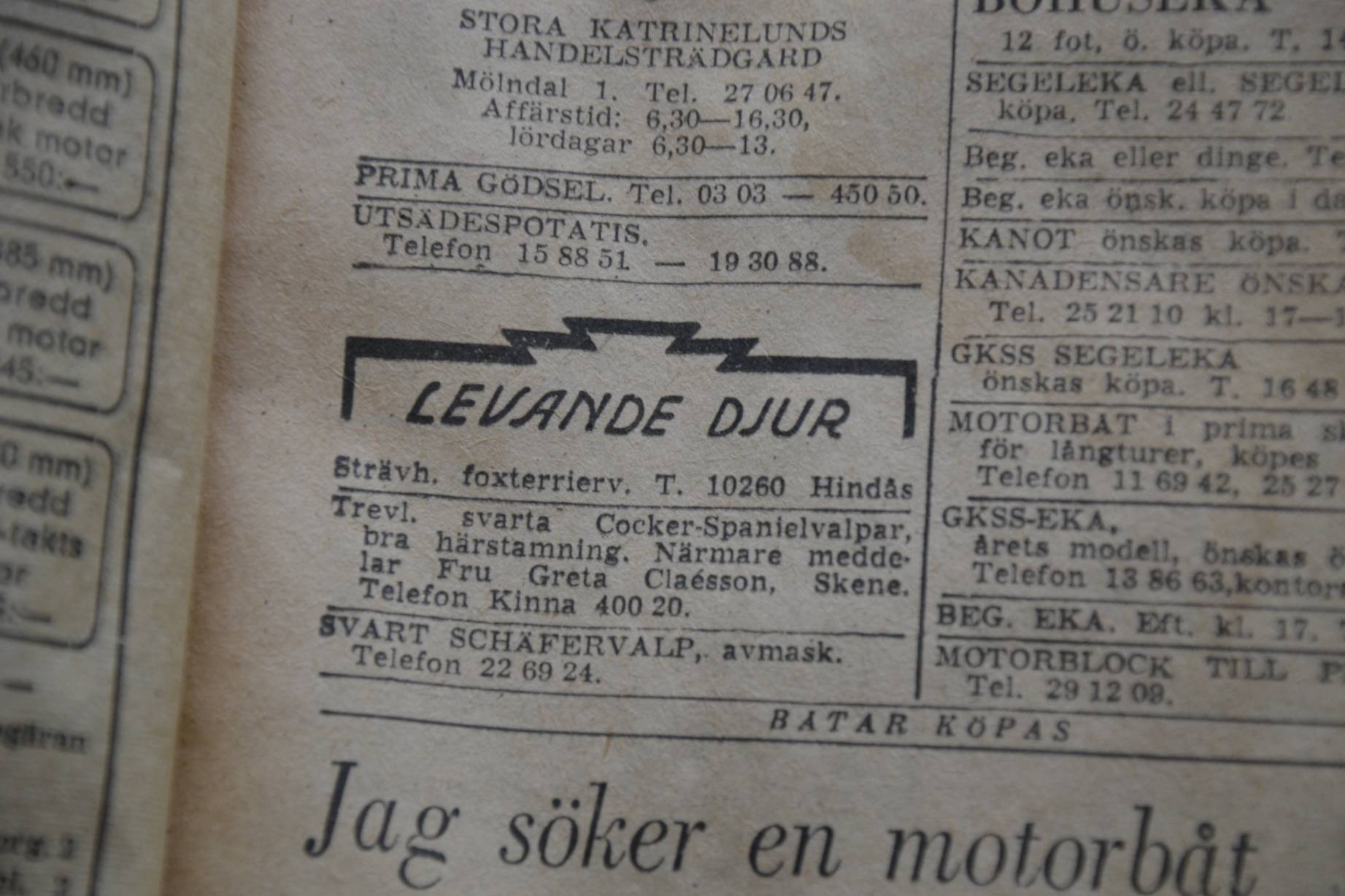 resized_DSC_1072.jpg, 189.51 kb, 1843 x 1228