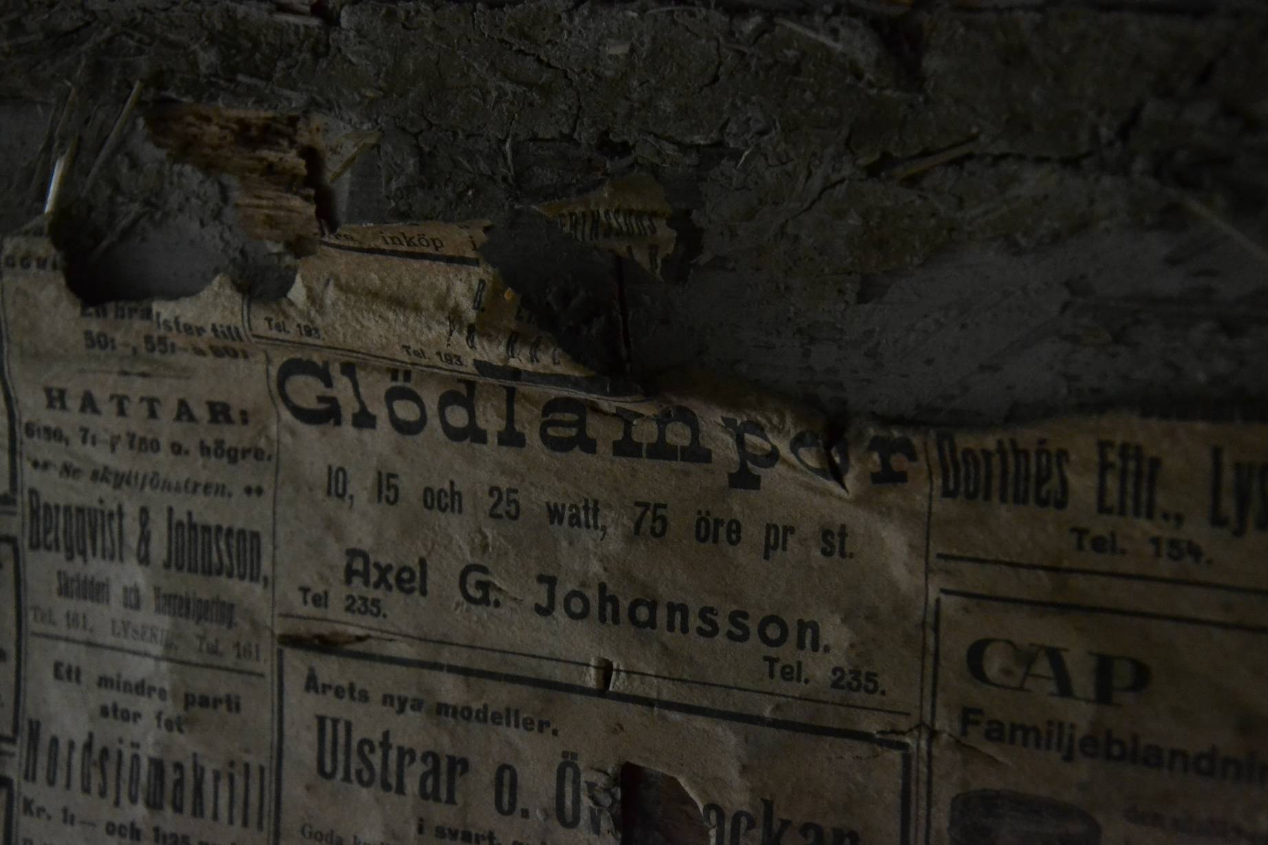 resized_DSC_1068.jpg, 165.36 kb, 1843 x 1228