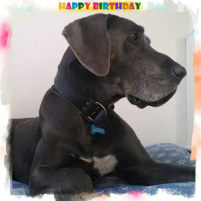 Kian 10 år.jpg, 48.68 kb, 640 x 640