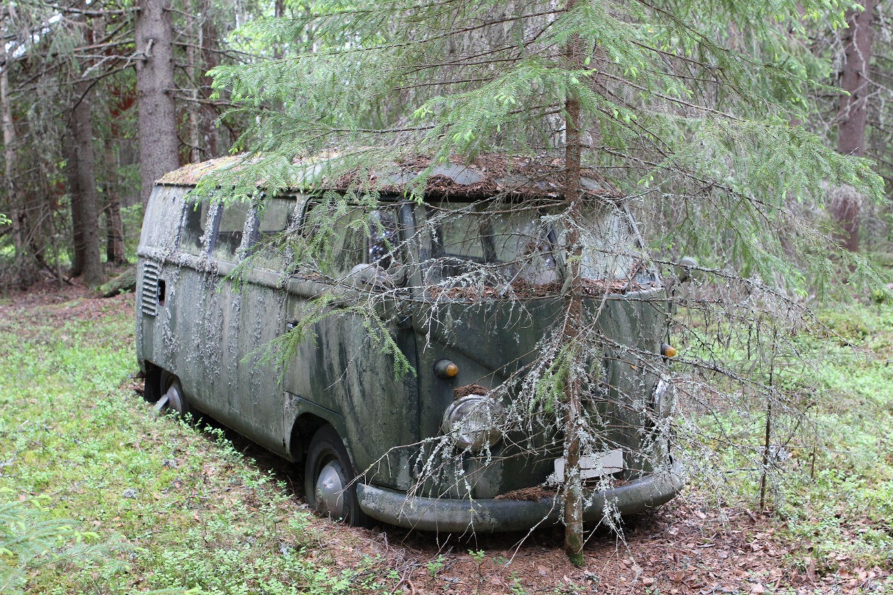 IMG_1137.JPG, 770.29 kb, 1296 x 864