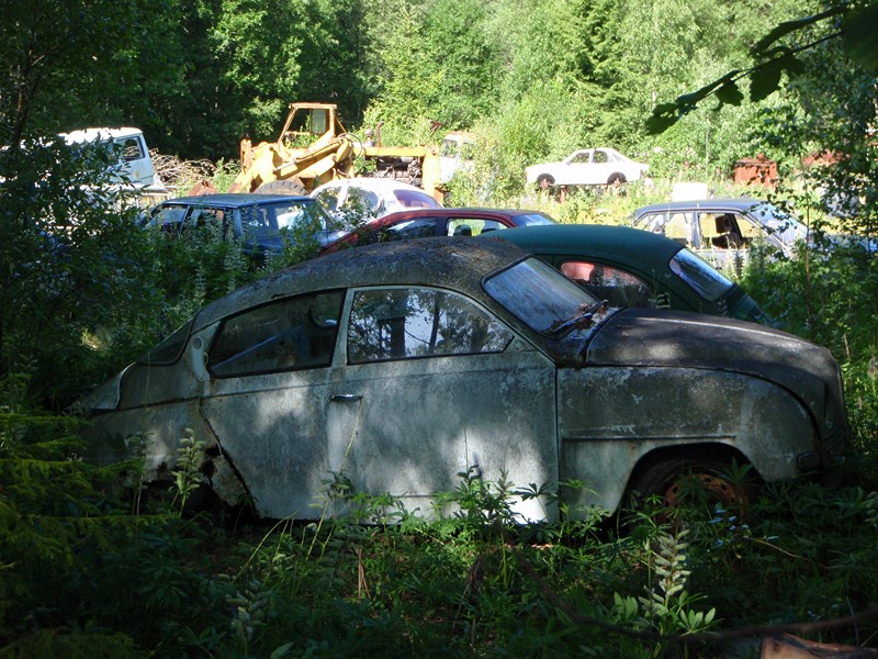 P7220077 [800x600].JPG, 189.94 kb, 800 x 600