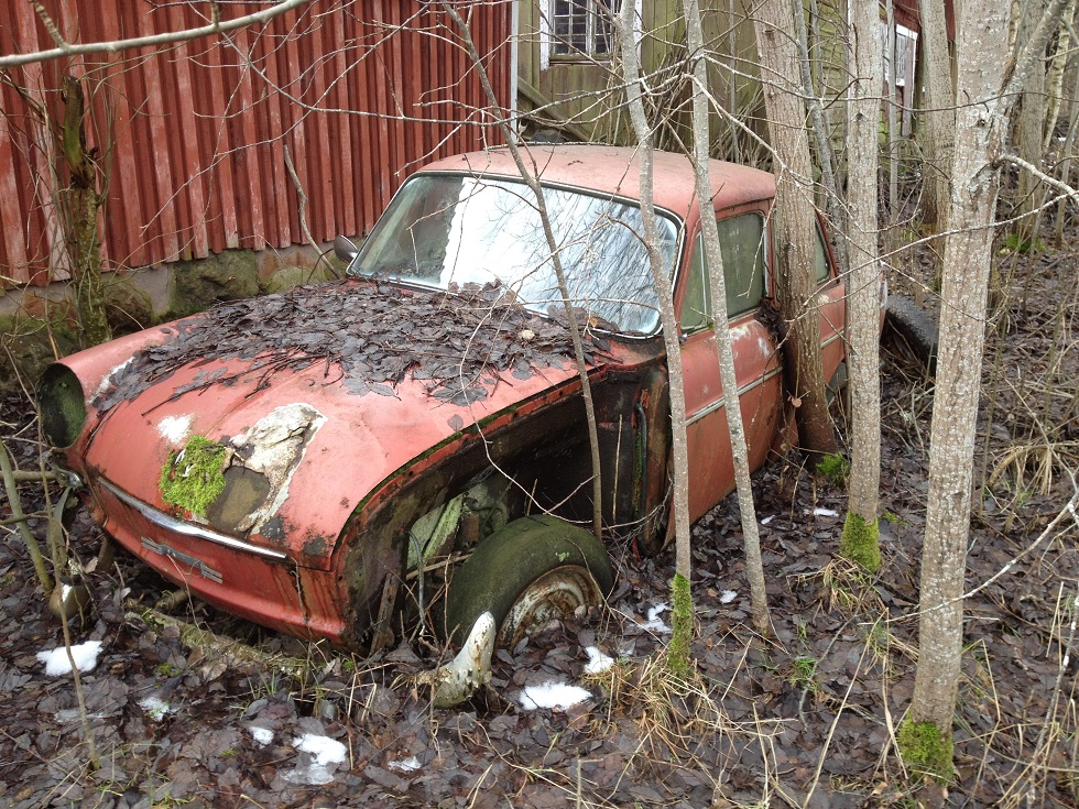 IMG_2022.JPG, 453.93 kb, 980 x 735