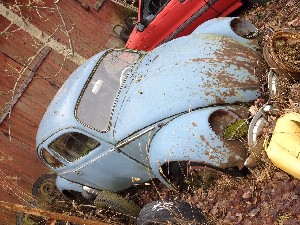 IMG_2026.JPG, 392.62 kb, 980 x 735