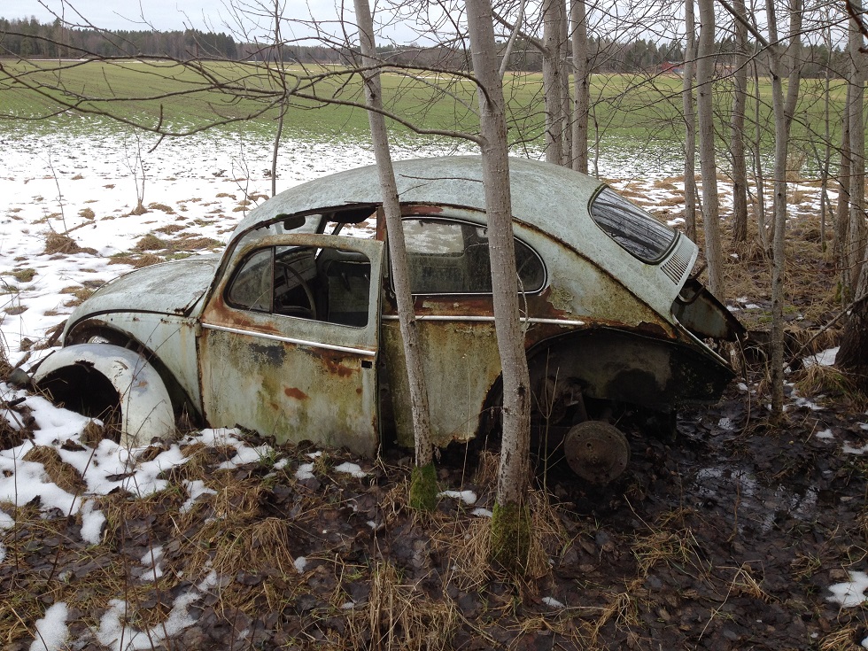 IMG_2024.JPG, 426.38 kb, 980 x 735