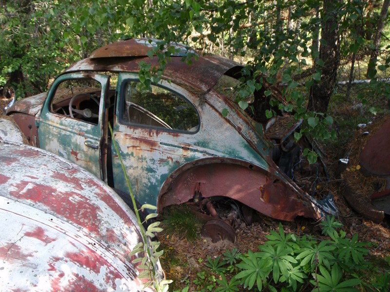 P7220081 [800x600].JPG, 191.35 kb, 800 x 600