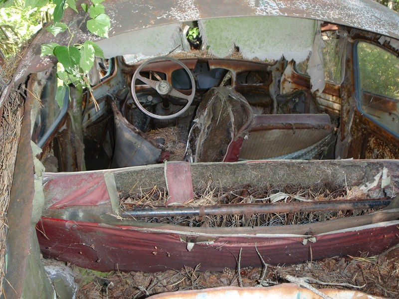 P7220083 [800x600].JPG, 174.05 kb, 800 x 600