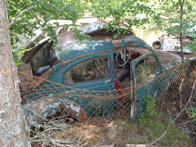 P7220085 [800x600].JPG, 224.66 kb, 800 x 600