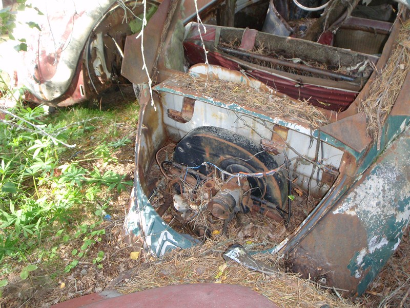 P7220091 [800x600].JPG, 200.65 kb, 800 x 600