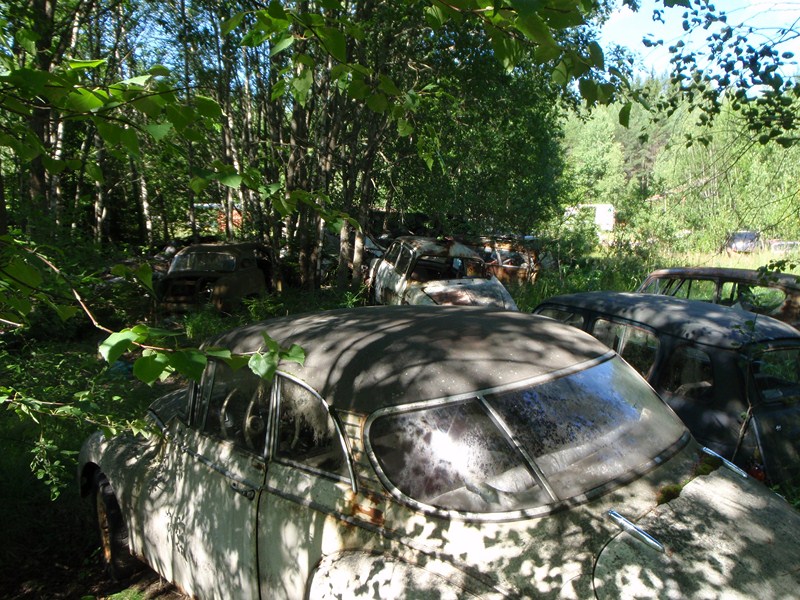 P7220078 [800x600].JPG, 206.74 kb, 800 x 600