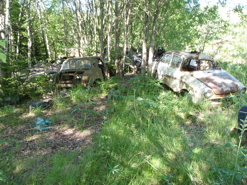 P7220079 [800x600].JPG, 250.41 kb, 800 x 600