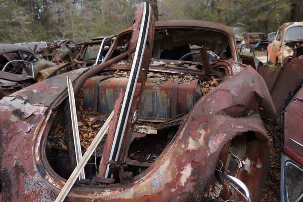 DSC05007.jpg, 255.36 kb, 1011 x 672