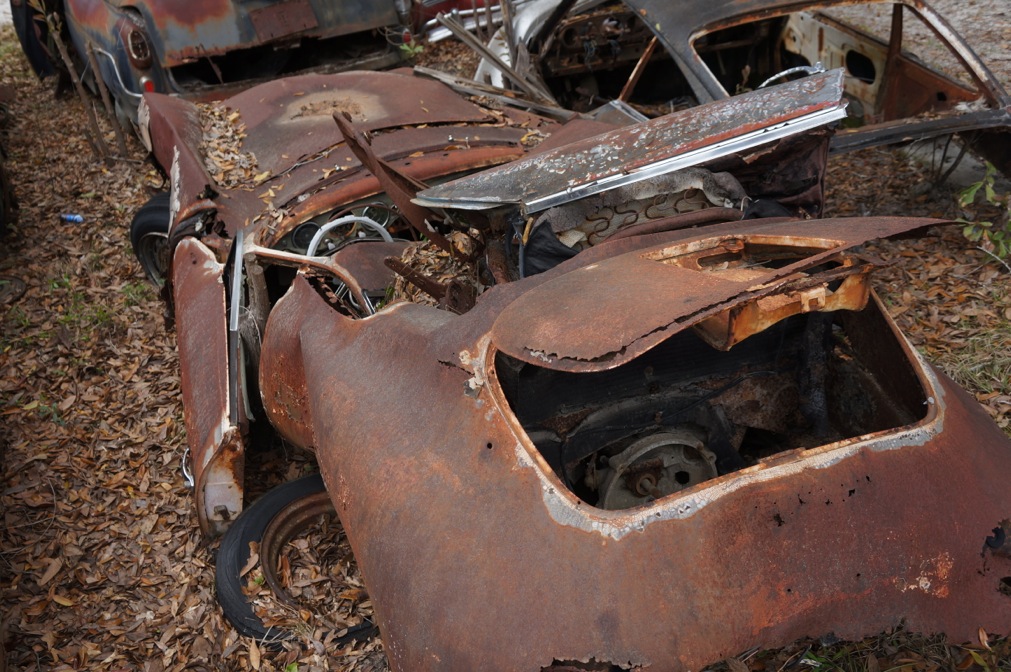 DSC05011.jpg, 268.59 kb, 1011 x 672