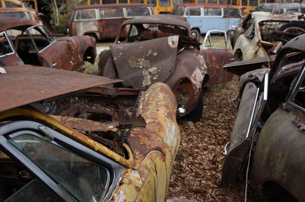 DSC05021.jpg, 224.05 kb, 1011 x 672