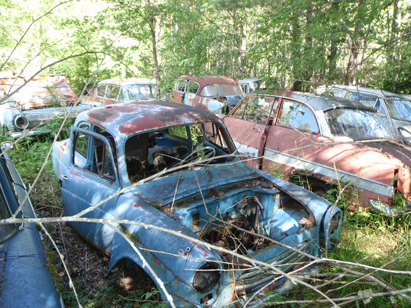 P7220080 [800x600].JPG, 225.42 kb, 800 x 600