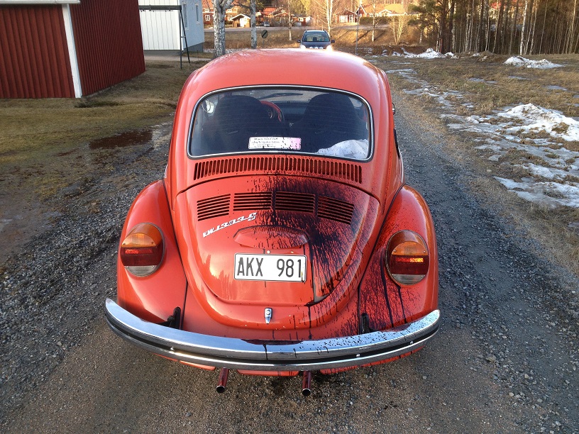 IMG_2985 - kopia.JPG, 296.89 kb, 816 x 612