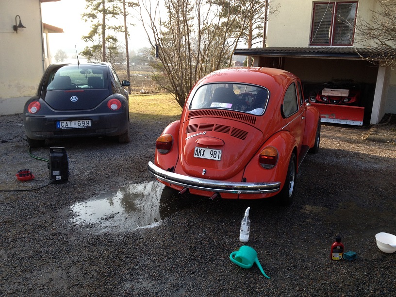 IMG_2998.JPG, 273.41 kb, 816 x 612