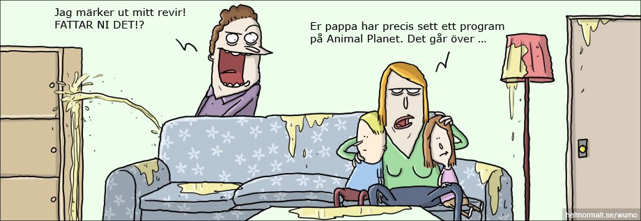 29.jpg, 69.3 kb, 920 x 318