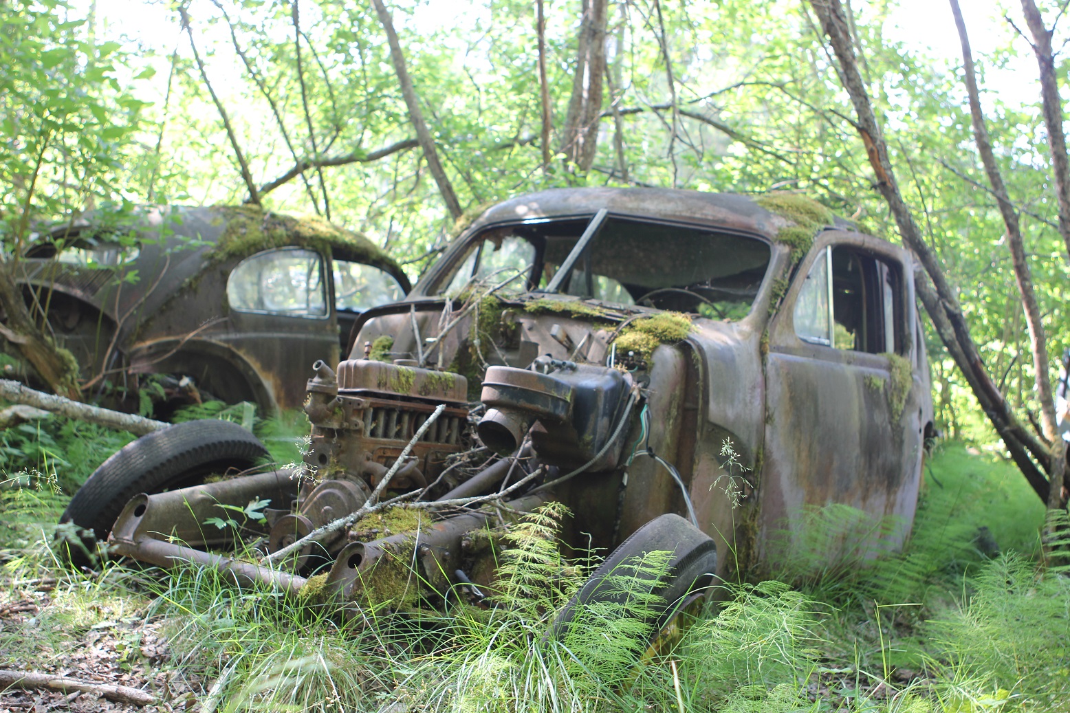 IMG_2266.JPG, 755.62 kb, 1556 x 1037