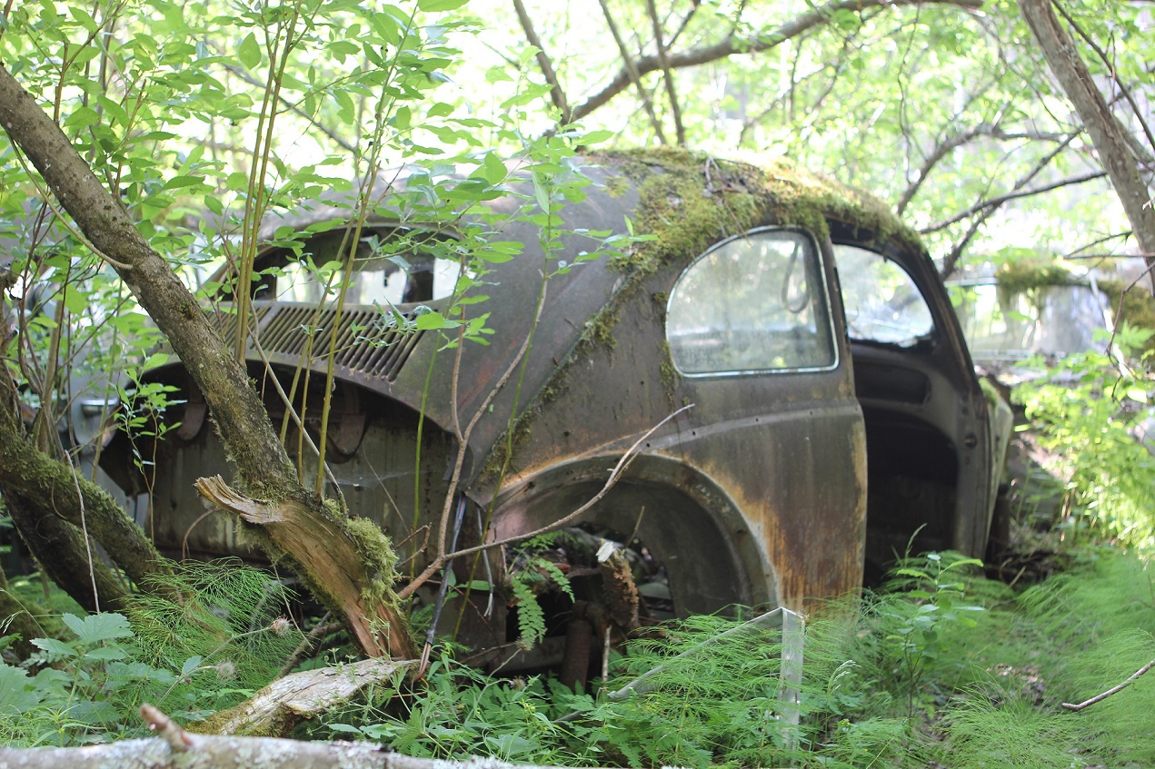 IMG_2271.JPG, 528.82 kb, 1271 x 847