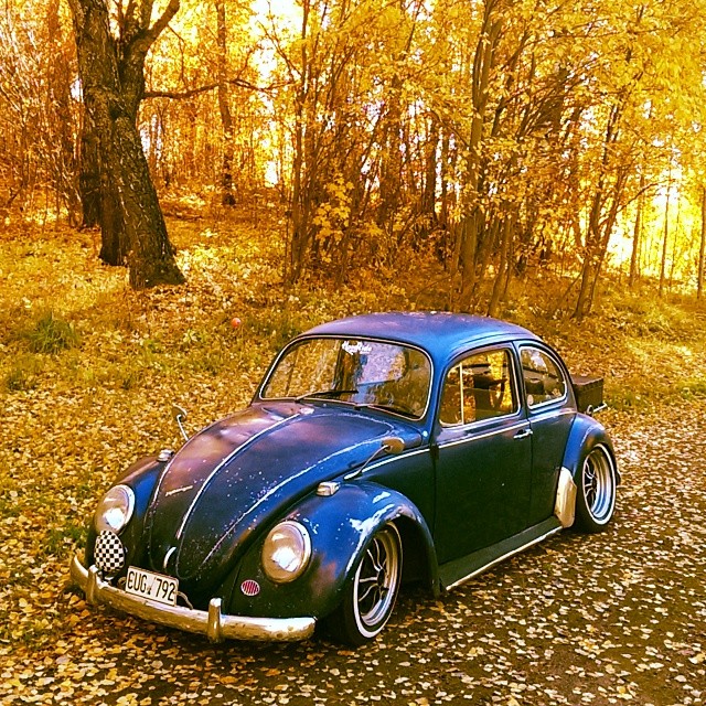 HoodieAutumn.jpg, 243.72 kb, 640 x 640