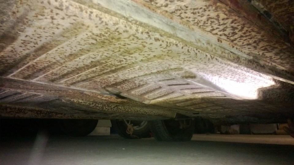 1238052_10151864807100479_882099491_n.jpg, 65.05 kb, 959 x 538