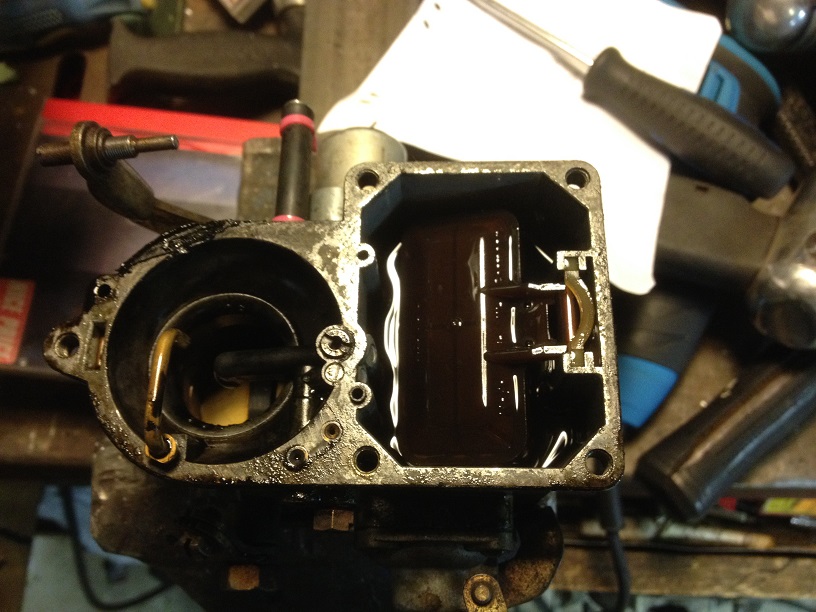 IMG_3063.JPG, 165.14 kb, 816 x 612