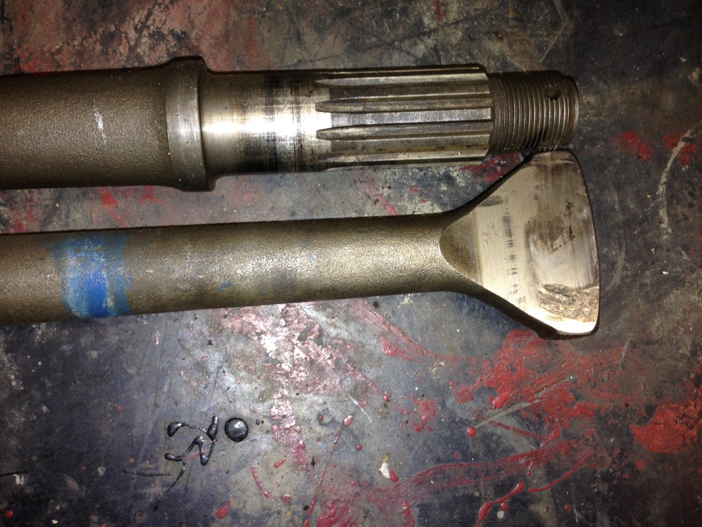 IMG_1284.JPG, 431.92 kb, 1024 x 768