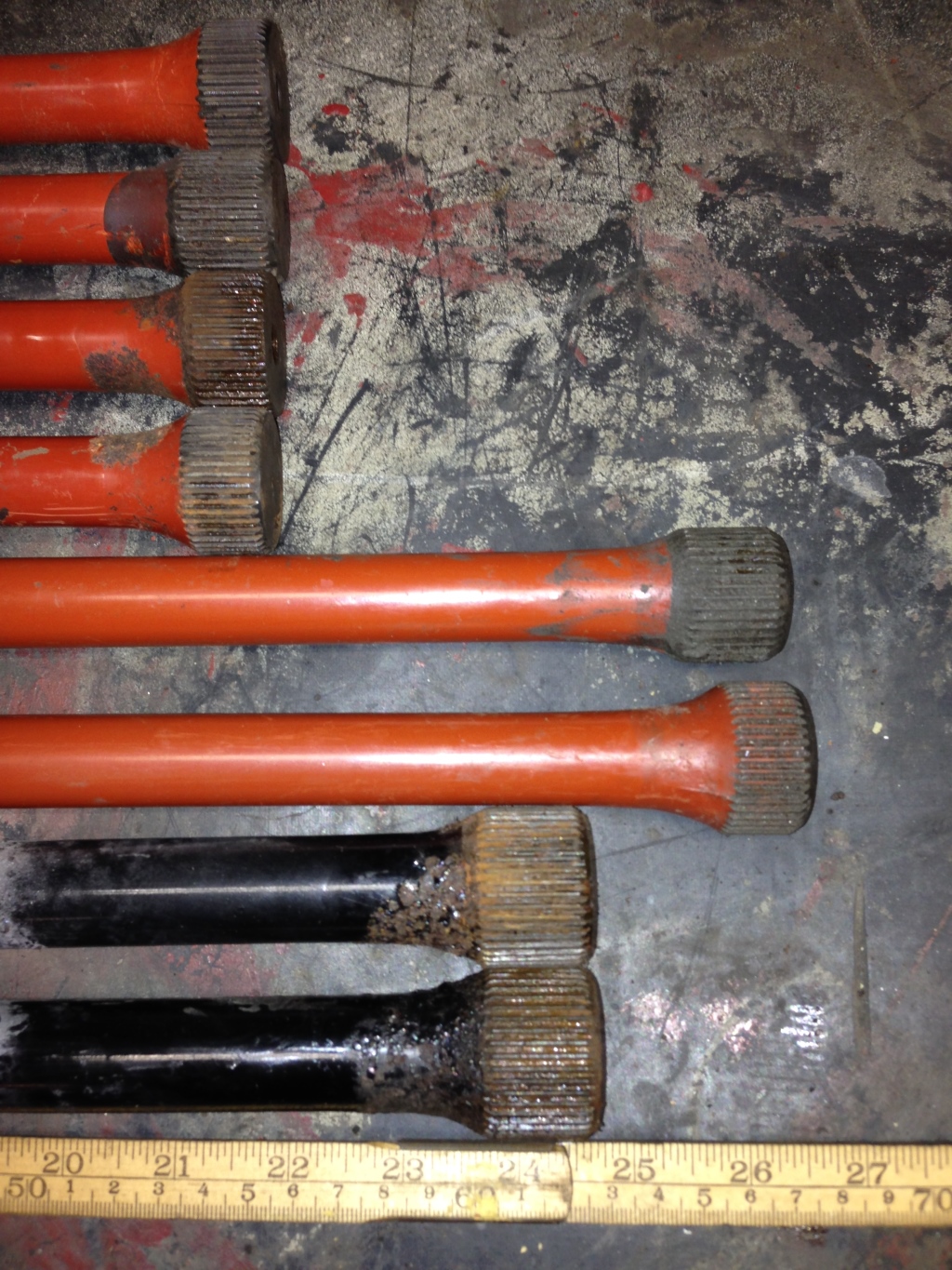 IMG_1279.JPG, 661.23 kb, 1024 x 1365