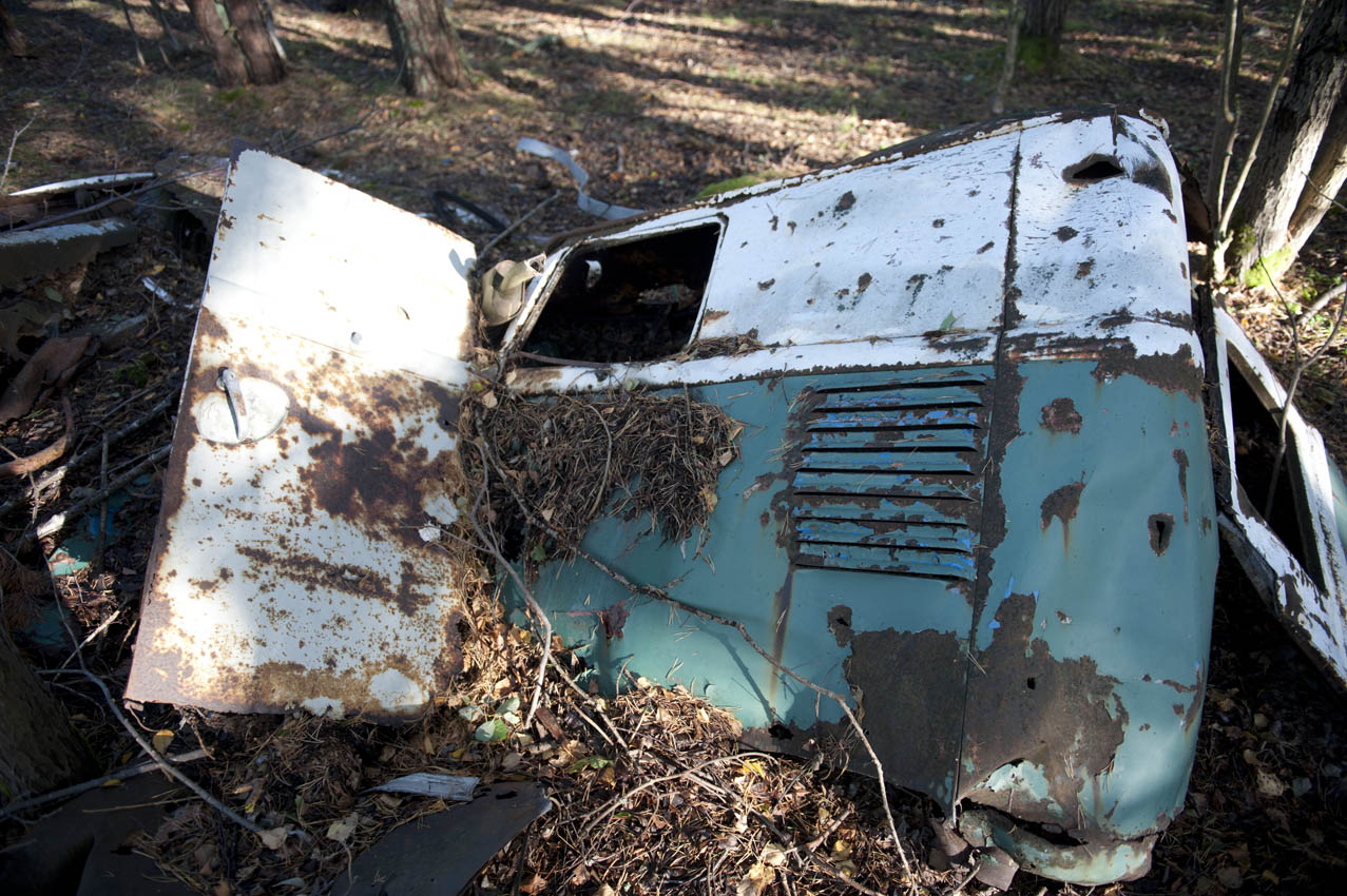 _AZO7718.jpg, 278.87 kb, 1277 x 850