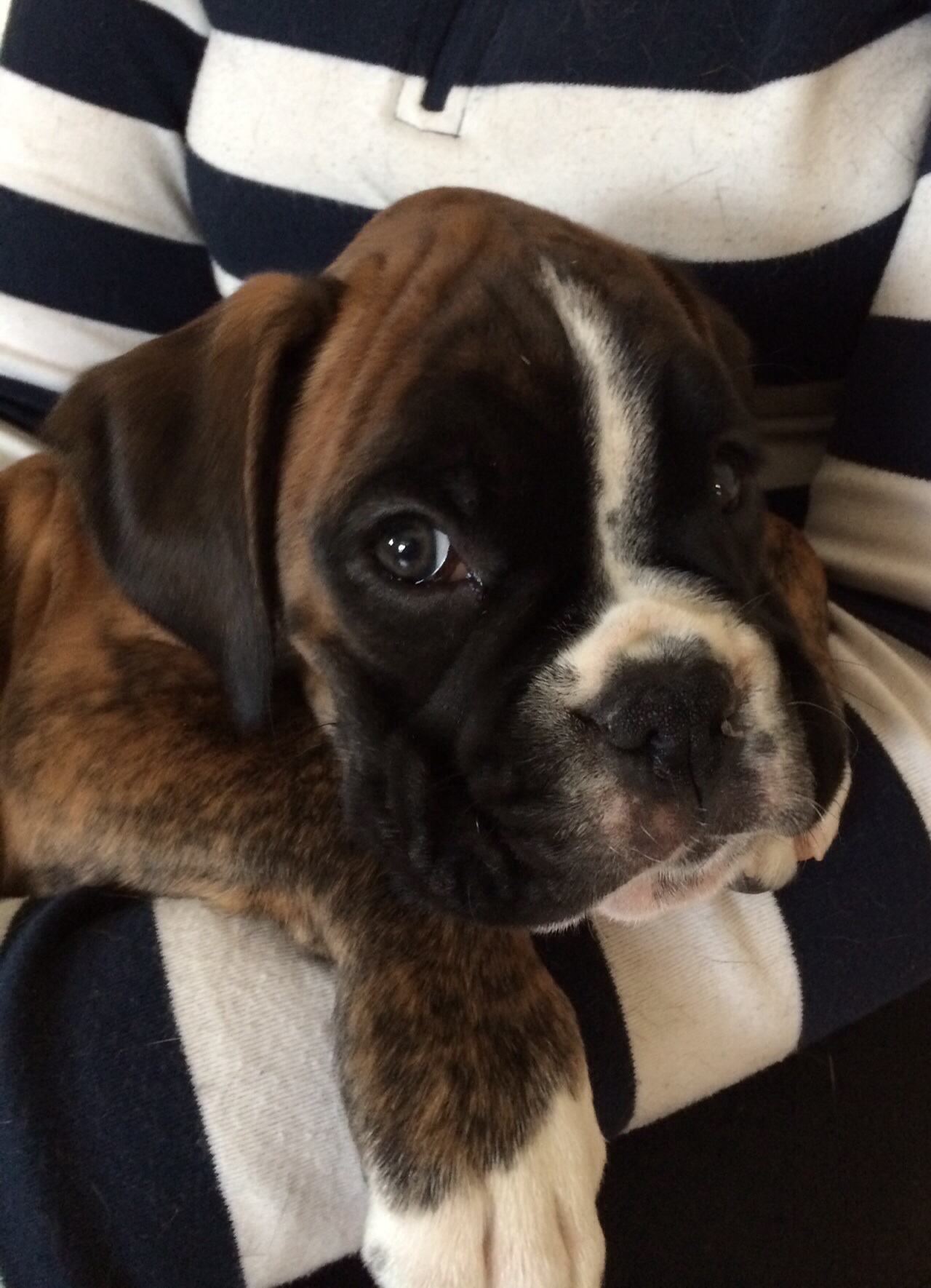 image.jpg, 488.69 kb, 1280 x 1770