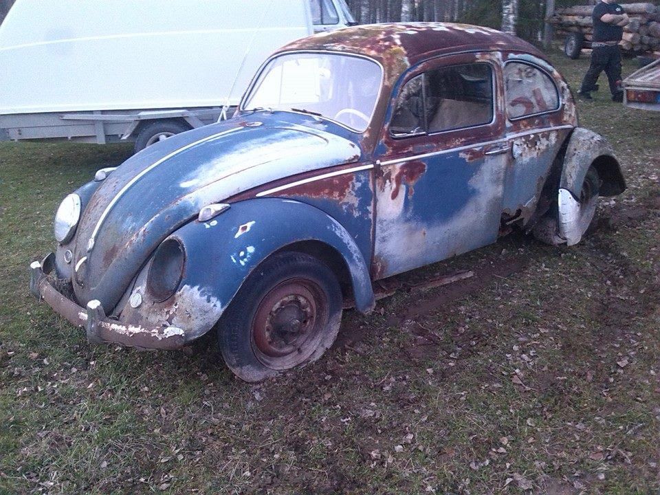 IMG_7301731772187.jpeg, 178.08 kb, 960 x 720