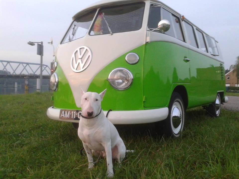 995213_637976862890309_1669819607_n.jpg, 70.42 kb, 960 x 720