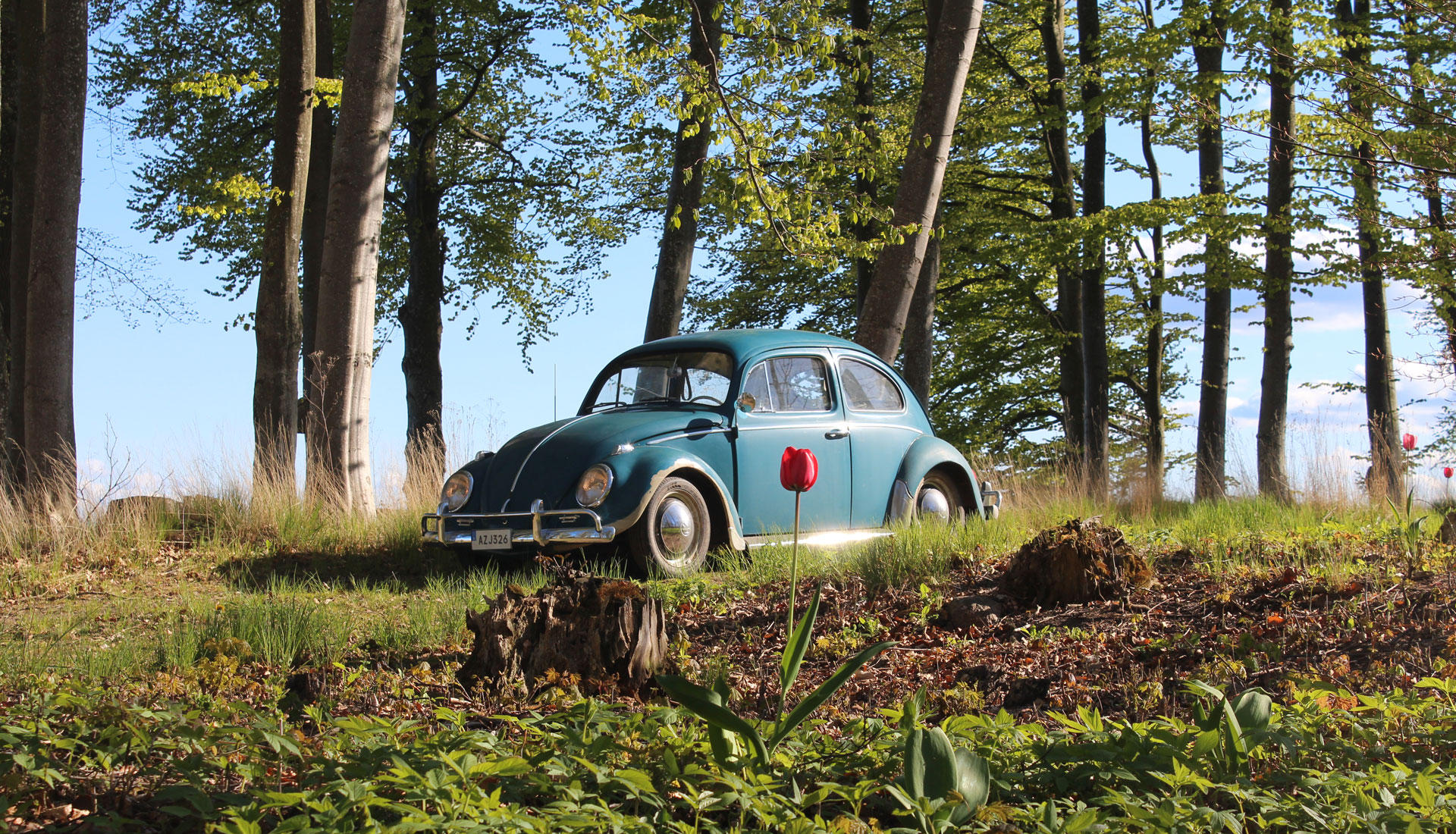 IMG_1931.jpg, 882.57 kb, 1920 x 1100