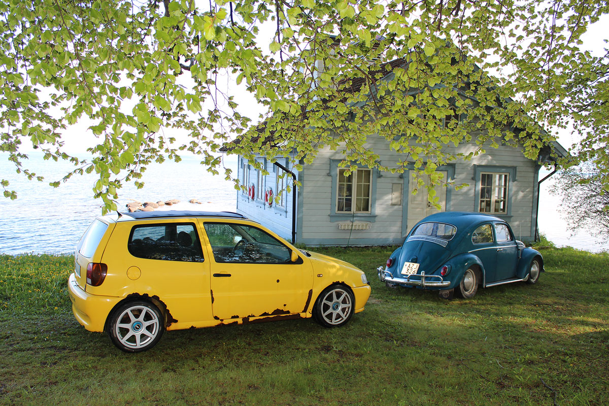 IMG_1938.jpg, 433.53 kb, 1200 x 800