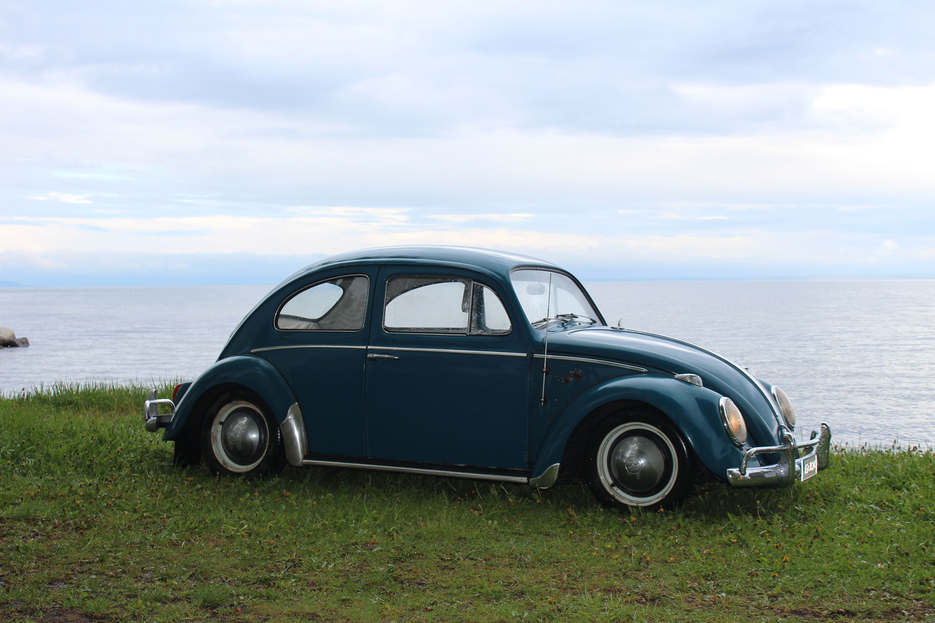 IMG_1951.jpg, 372.22 kb, 1920 x 1280