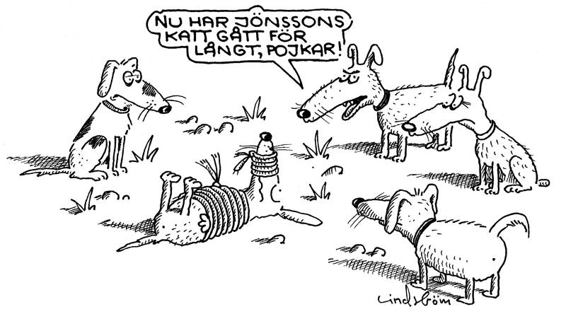 phpjmWLgFPM.jpg, 60.75 kb, 800 x 461