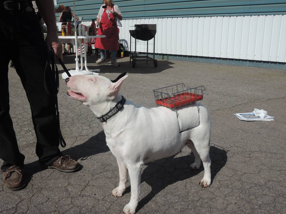 phpB8W8AFPM.jpg, 124.54 kb, 1000 x 750