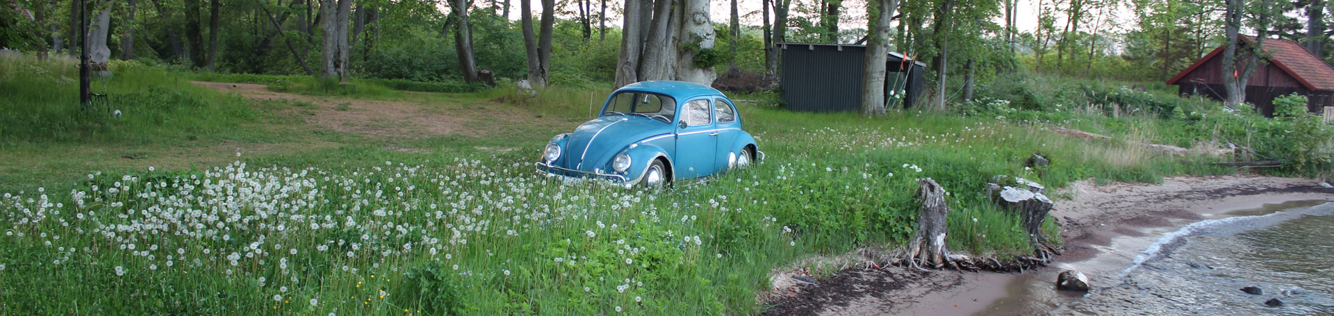 yyyyyy.jpg, 302.56 kb, 1920 x 455