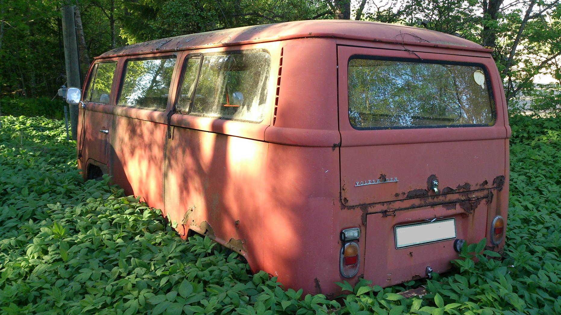 In.da.jungle.JPG, 393.49 kb, 1862 x 1047