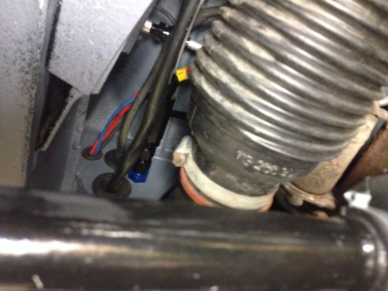 IMG_2580.jpg, 174.05 kb, 1280 x 960