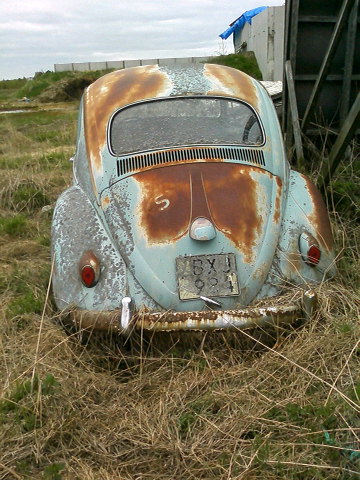 002.JPG, 83.85 kb, 360 x 480