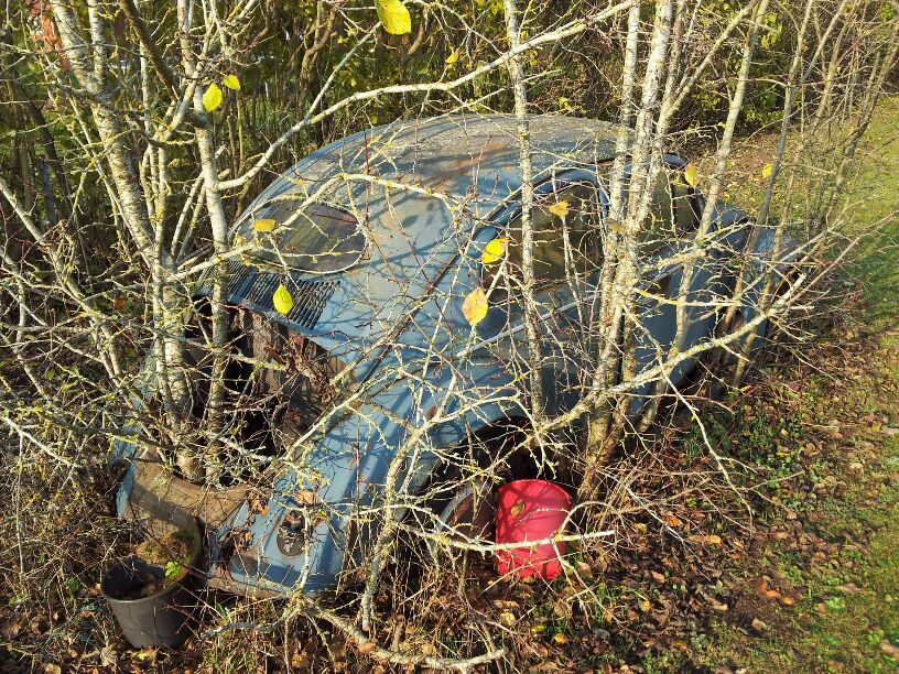 20111106_120657.jpg, 243.29 kb, 816 x 612